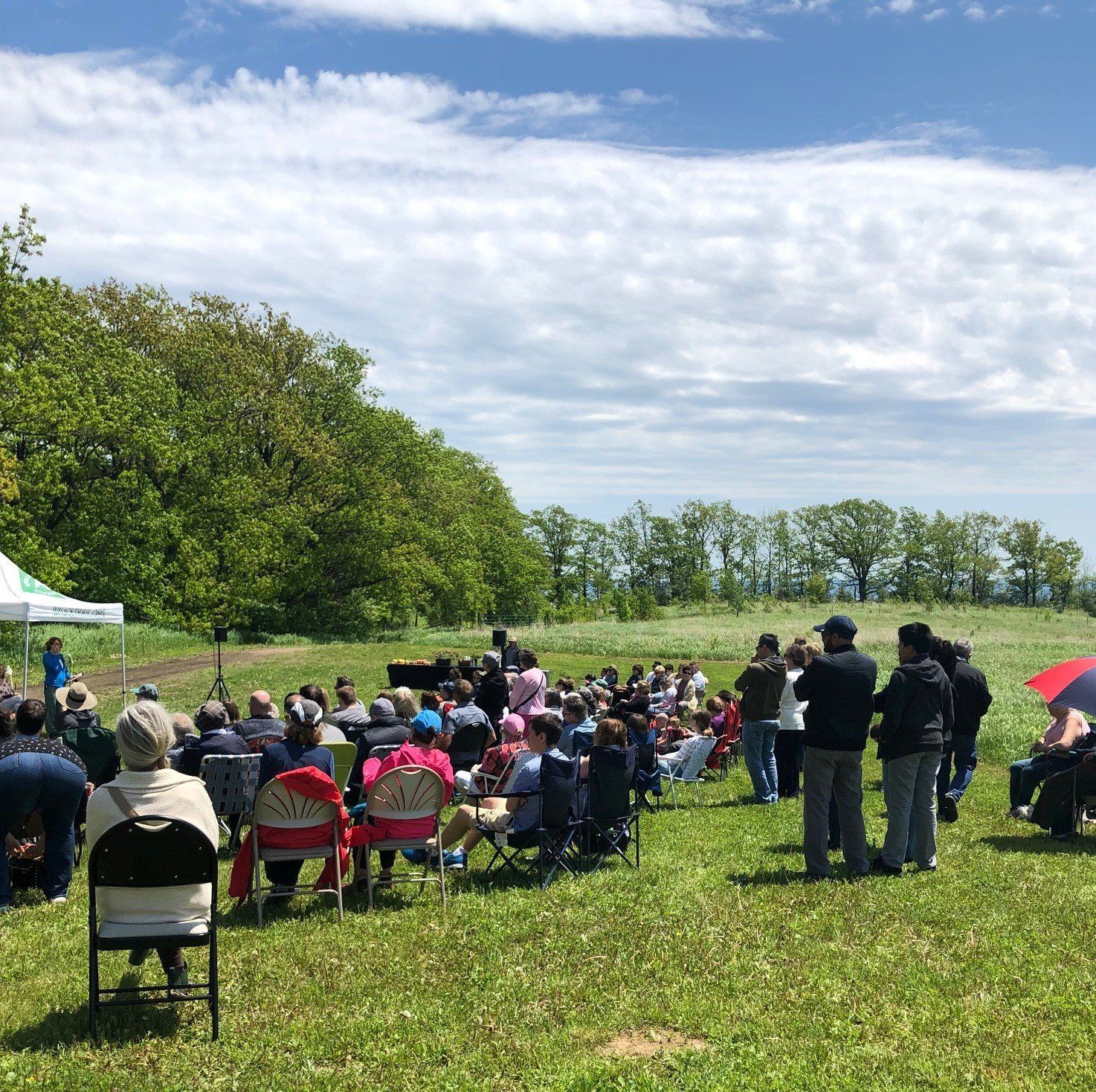 Bruce Trail Conservancy