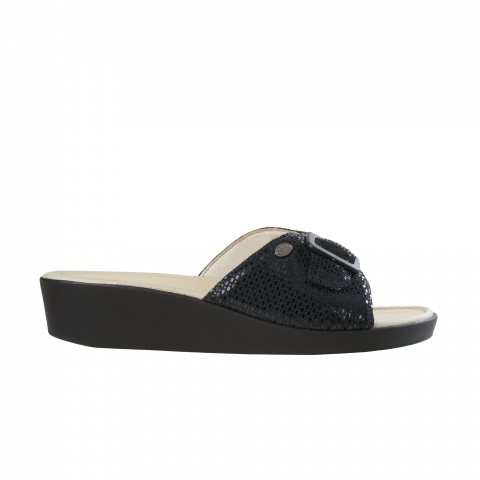 scholl mango
