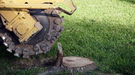 Truck grinding into a log — Tree Experts in Lady Lake, FL Truck grinding into a log — Tree Experts in Lady Lake, FL