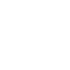 Phone-Icon