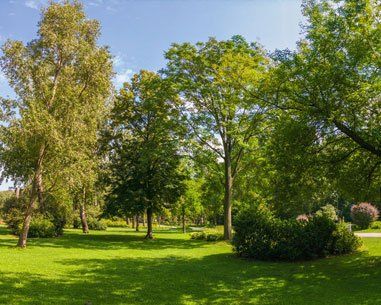Environment advice