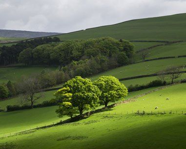 Natural landscapes