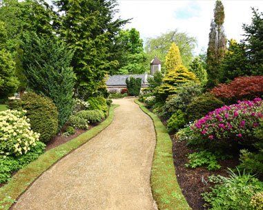 Garden makeovers