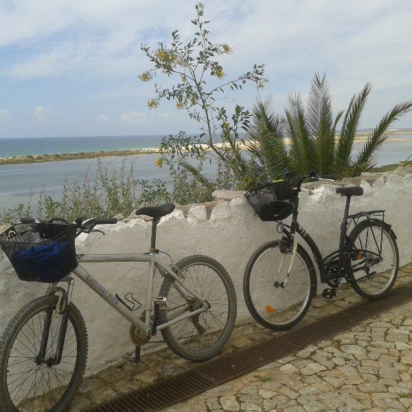 fietstochtje maken Twee fietsen met mandjes staan geparkeerd bij een witte muur, met uitzicht op een wateroppervlak onder een blauwe hemel.