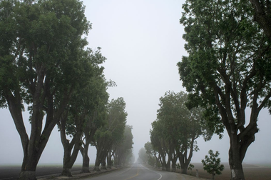 NATURAL routes....