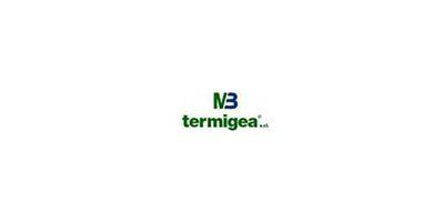 logo termigea