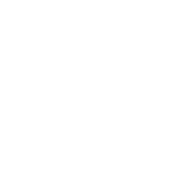 village court logo