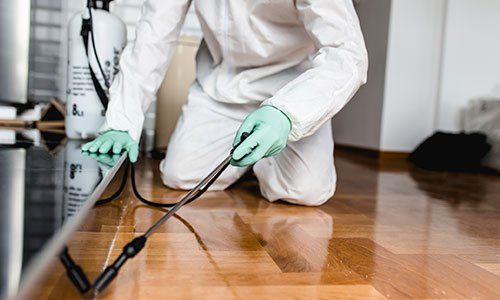 Exterminator in Work — Rogersville, TN — East Tennessee Pest Control Exterminator in Work — Rogersville, TN — East Tennessee Pest Control