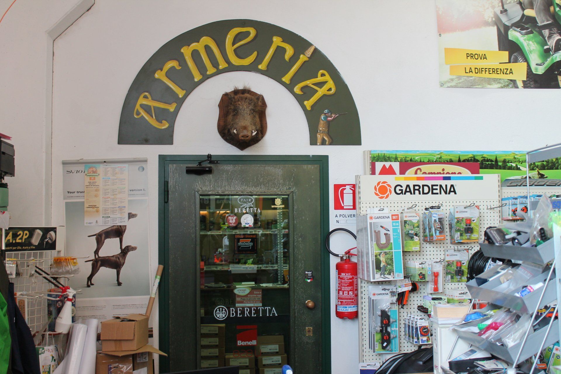Armeria