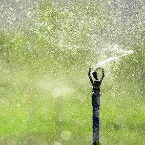 Garden sprinkler