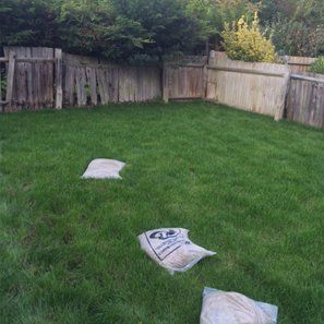 Garden fencing