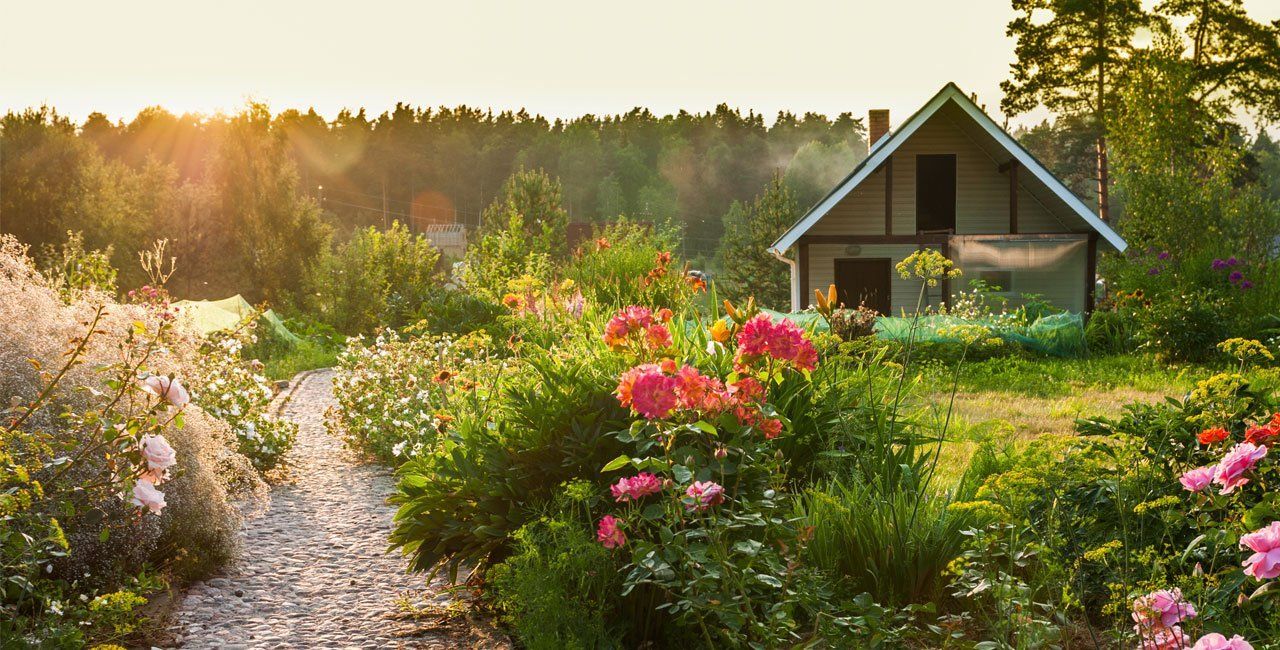 A hut with a beautiful landscape