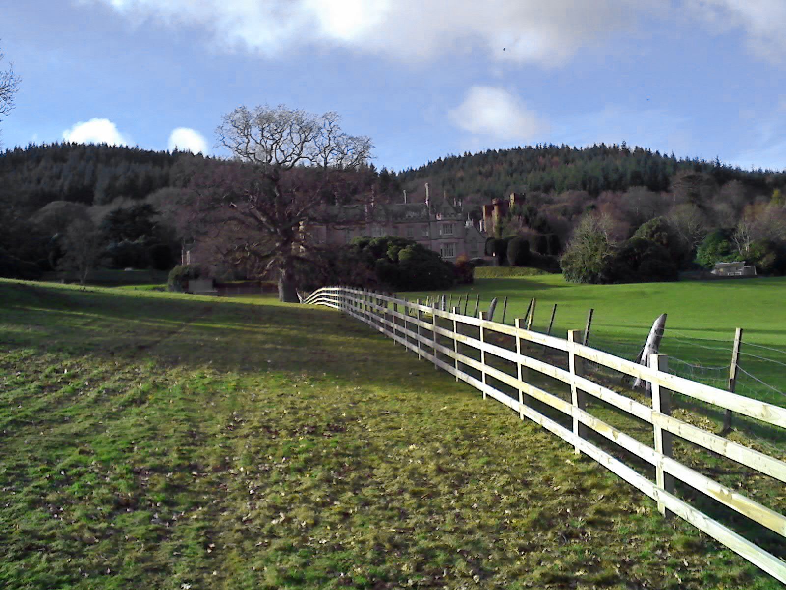 white fence