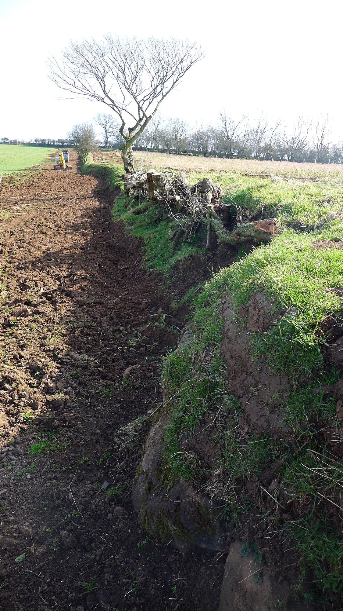 dug-up ground