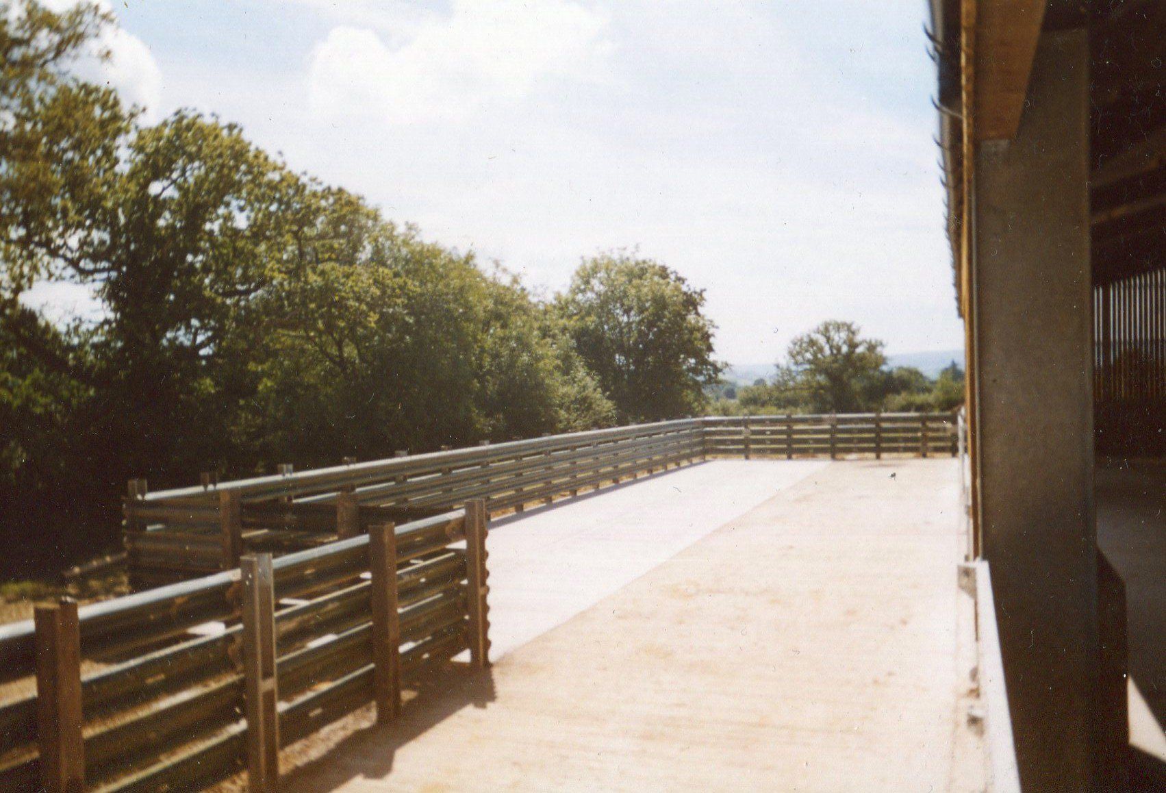 wooden fence