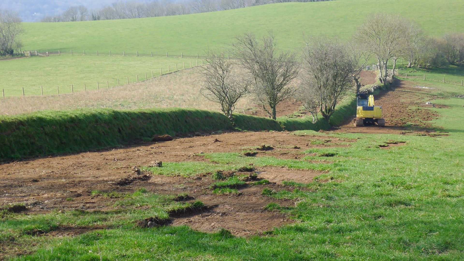 cleared ground