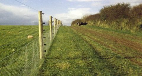 fencing