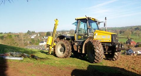 hedge laying
