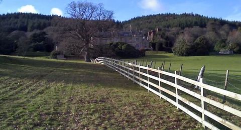 equestrian fencing