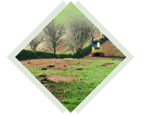 green field
