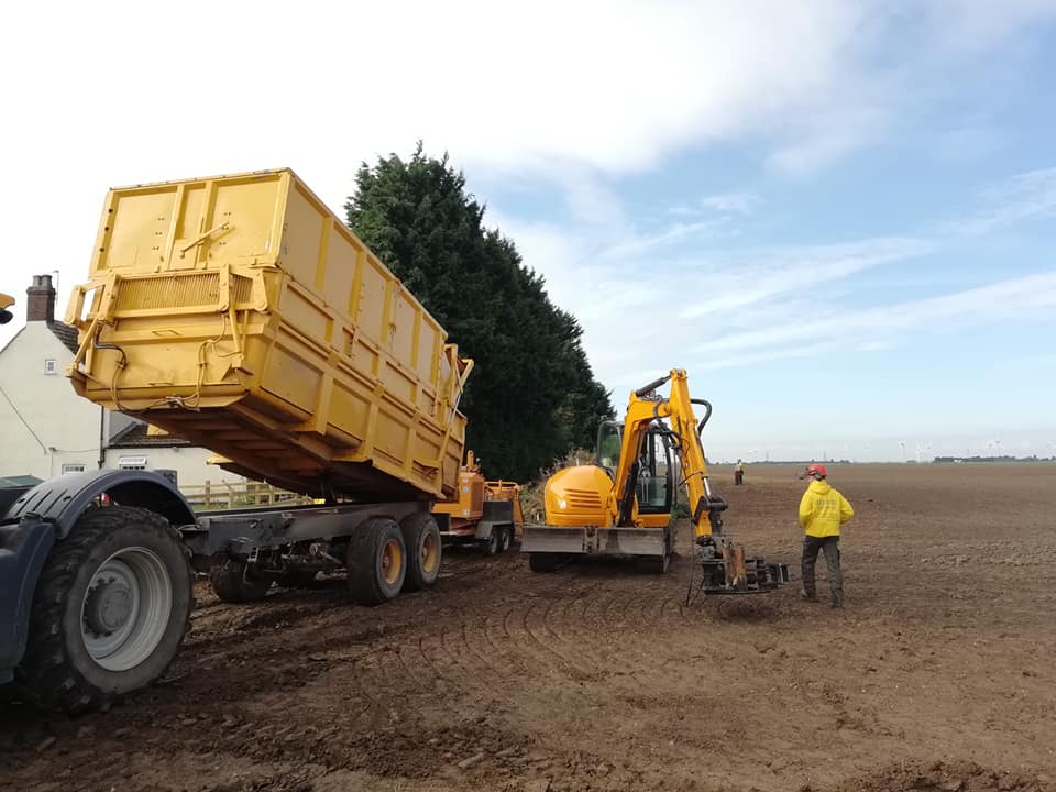 TREE CARE SERVICES