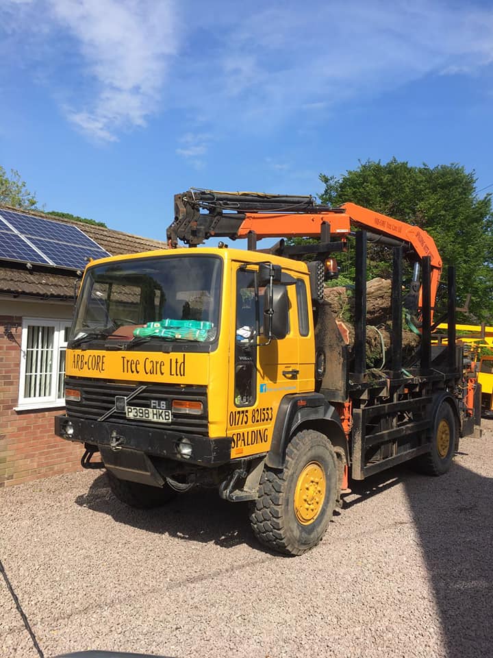 TREE CARE SERVICES
