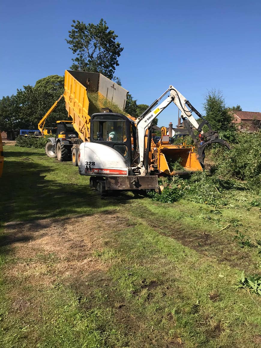 TREE CARE SERVICES