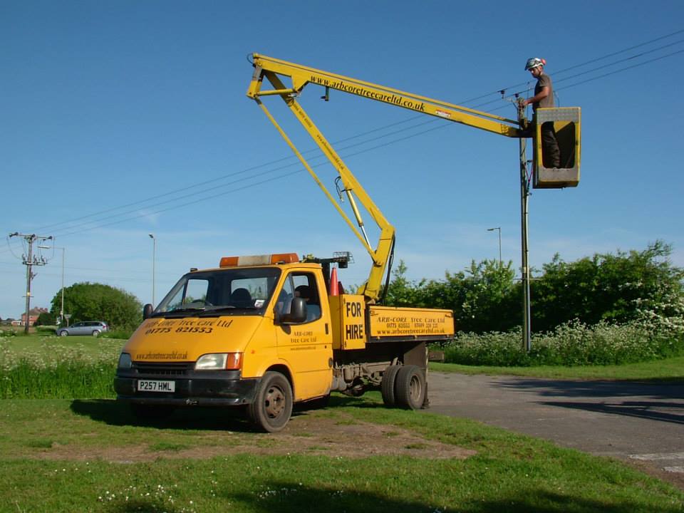 TREE CARE SERVICES
