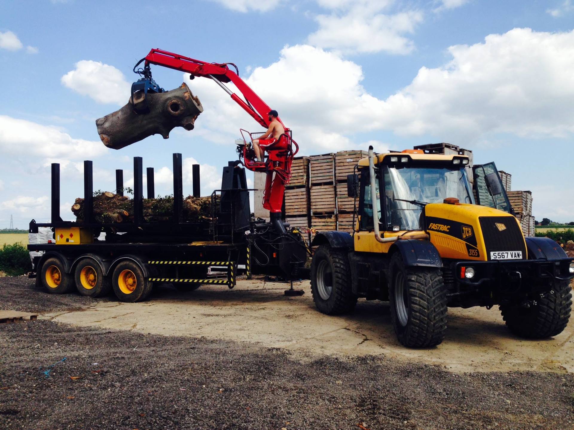 TREE CARE SERVICES