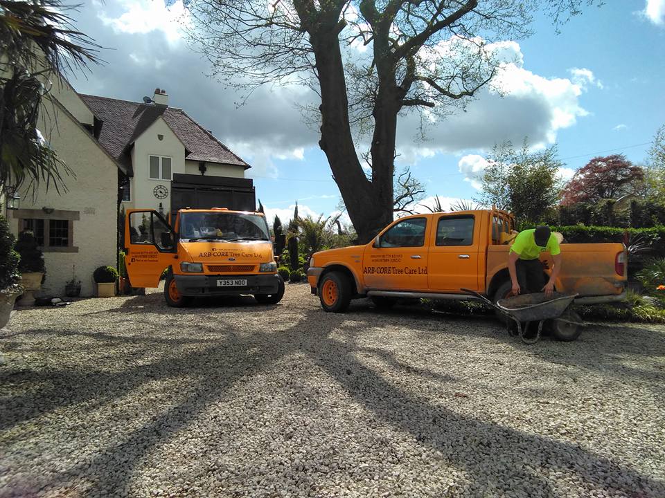 TREE CARE SERVICES