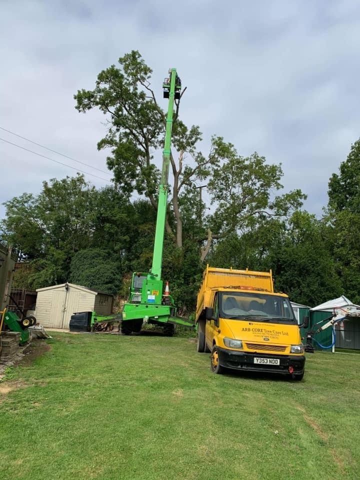 TREE CARE SERVICES