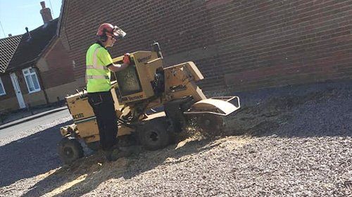 TREE STUMP REMOVAL