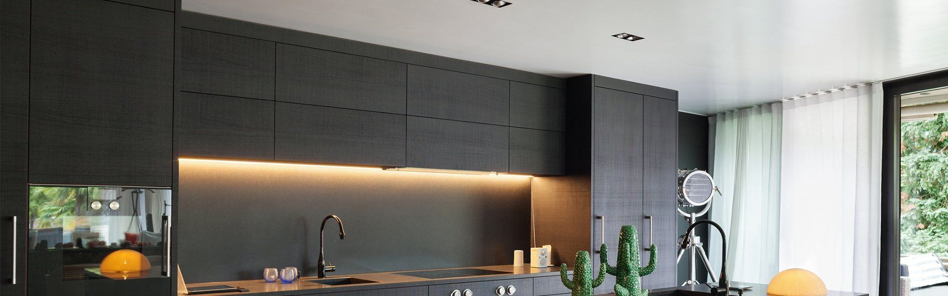 A kitchen with black cabinets , a sink , and a cactus.