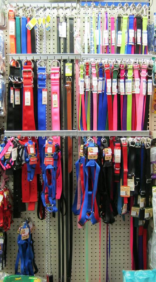 Dog Supplies — Dog Accessories in Corpus Christi, TX