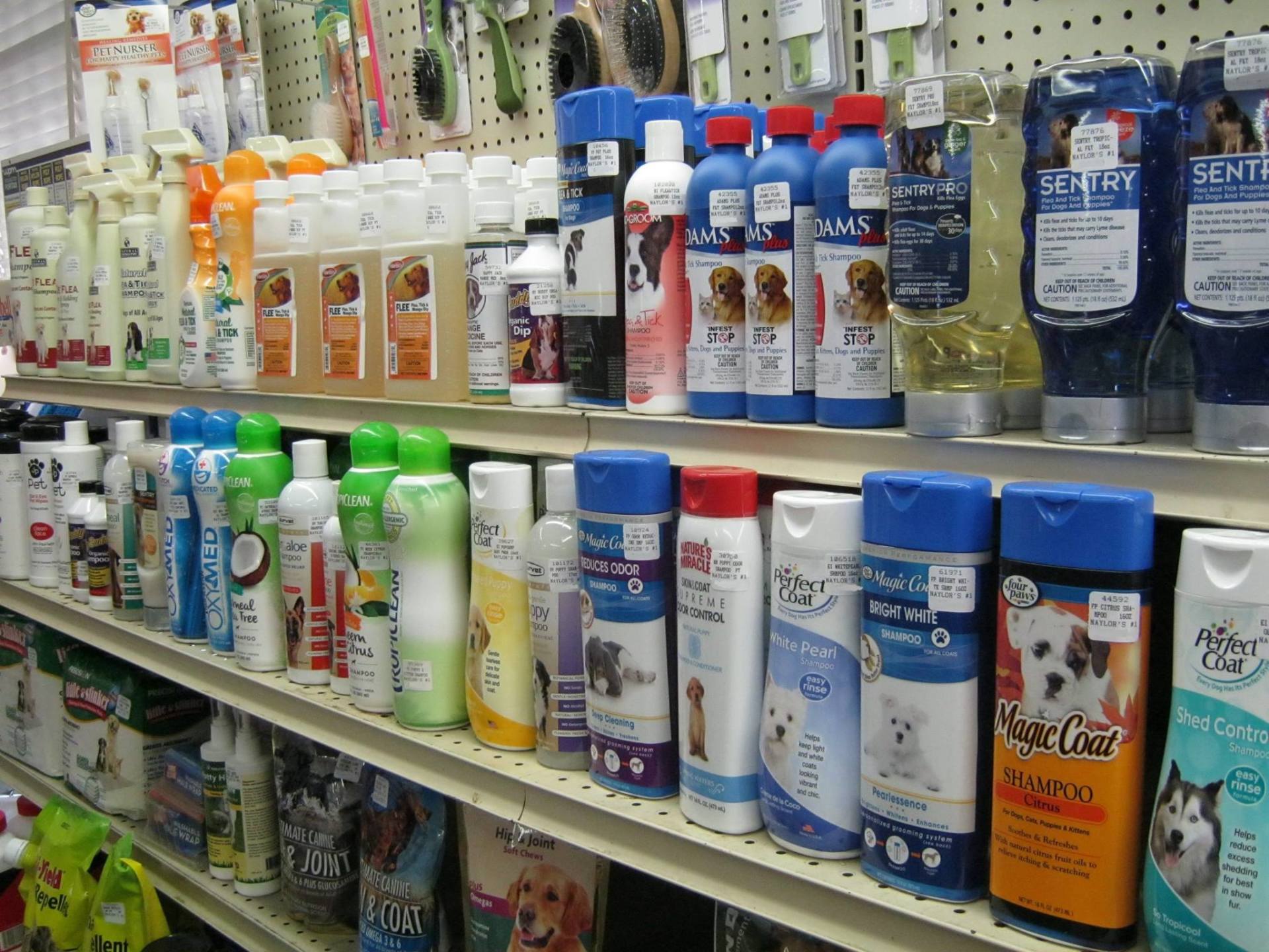 Animal — Animal Health in Corpus Christi, TX