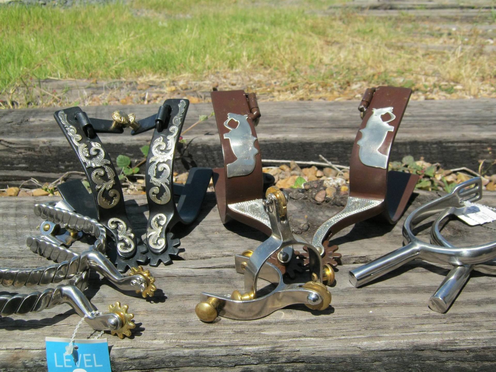 Horse — Horseshoes in Corpus Christi, TX