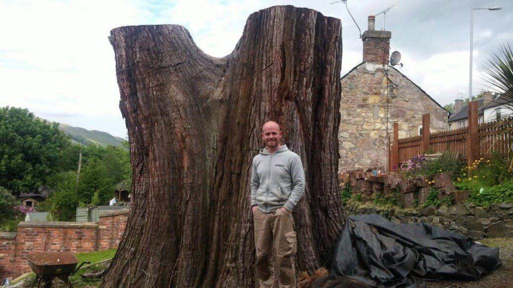 men standing near big tree