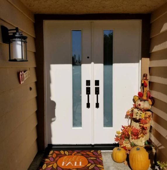 Modern Frosted Design Door — Tampa, FL — DoorPro Entryways, Inc.