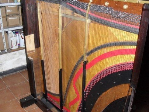 sostituzione corde strumenti musicali