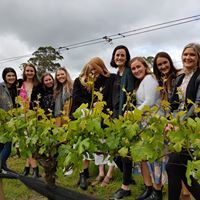 Friends enjoy a wine tour in Launceston's Tamar Valley vineyard.