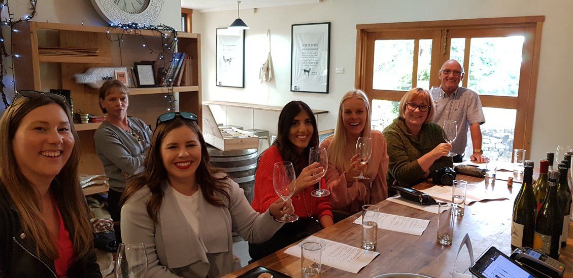 6 woman and 1 old guys drinking wine