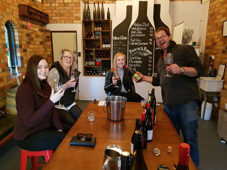 3 woman and 1 guys drinking wine