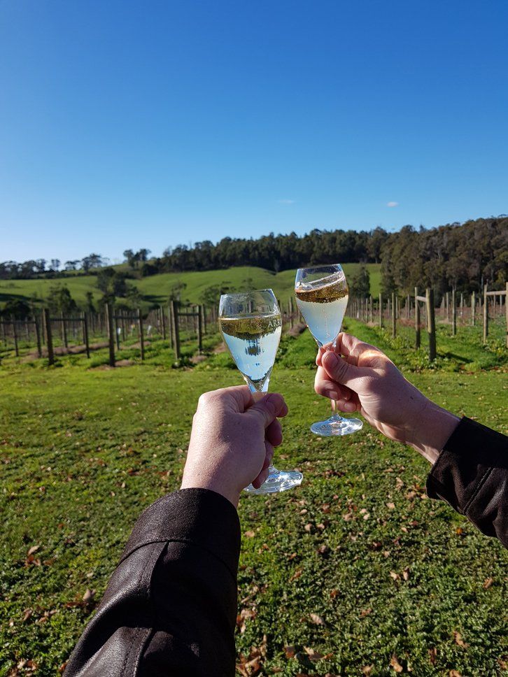 two hand toasting wine