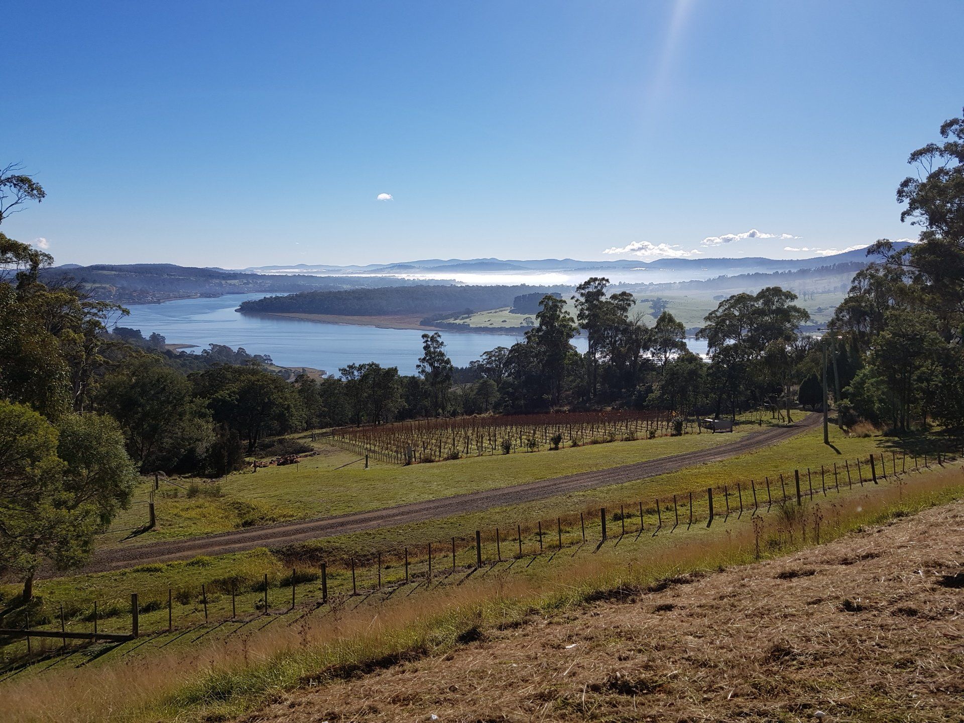 Valleybrook Wine view