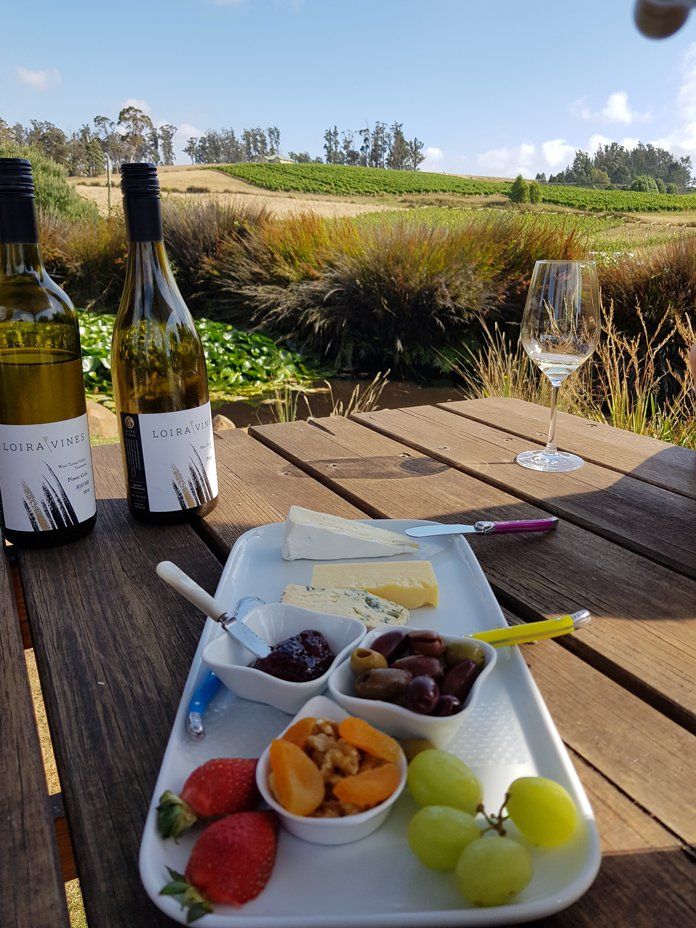 wine and fruits on the table