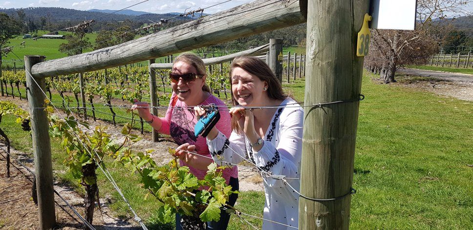 two girls infront of cherry farm