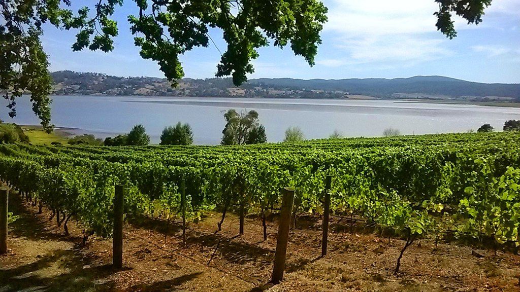 farm and lake