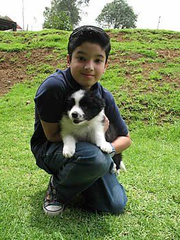 adiestramiento canino Toluca