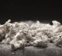 asbestos services provider