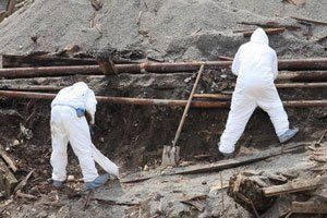 Asbestos surveys